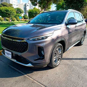MAXUS D60